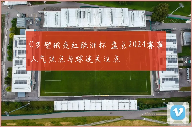 C罗壁纸走红欧洲杯 盘点2024赛事人气焦点与球迷关注点