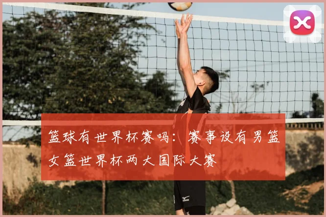 篮球有世界杯赛吗:赛事设有男篮女篮世界杯两大国际大赛